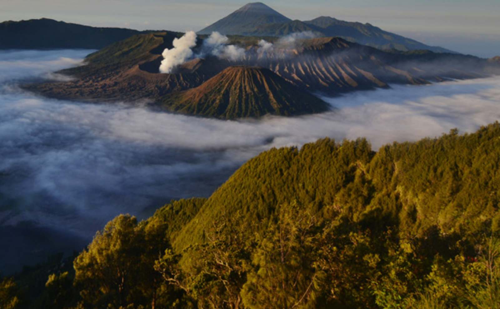 Bromo 